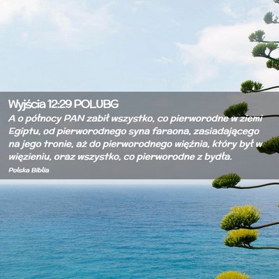 Picture 02 - Wyjścia 12:29 POLUBG - A o północy PAN zabił wszystko, co pierworodne - Bible Verse Picture