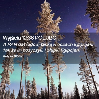 Picture 02 - Wyjścia 12:36 POLUBG - A PAN dał ludowi łaskę w oczach Egipcjan, tak - Bible Verse Picture