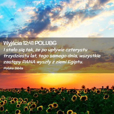 Picture 02 - Wyjścia 12:41 POLUBG - I stało się tak, że po upływie czterystu - Bible Verse Picture