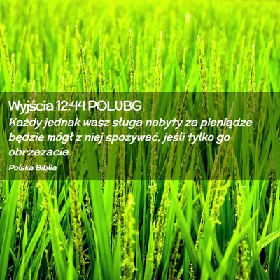 Picture 02 - Wyjścia 12:44 POLUBG - Każdy jednak wasz sługa nabyty za pieniądze - Bible Verse Picture