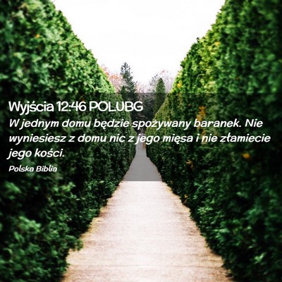 Picture 02 - Wyjścia 12:46 POLUBG - W jednym domu będzie spożywany baranek. Nie - Bible Verse Picture