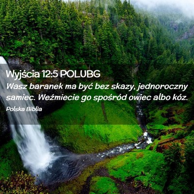 Picture 02 - Wyjścia 12:5 POLUBG - Wasz baranek ma być bez skazy, jednoroczny - Bible Verse Picture
