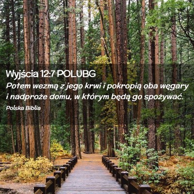 Picture 02 - Wyjścia 12:7 POLUBG - Potem wezmą z jego krwi i pokropią oba węgary - Bible Verse Picture