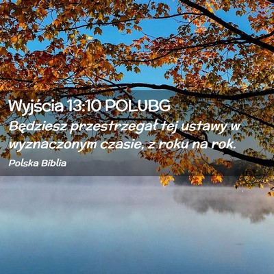 Picture 02 - Wyjścia 13:10 POLUBG - Będziesz przestrzegał tej ustawy w wyznaczonym - Bible Verse Picture