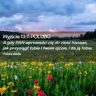 Picture 02 - Wyjścia 13:11 POLUBG - A gdy PAN wprowadzi cię do ziemi Kanaan, jak - Bible Verse Picture