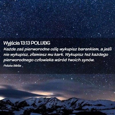 Picture 02 - Wyjścia 13:13 POLUBG - Każde zaś pierworodne oślę wykupisz - Bible Verse Picture