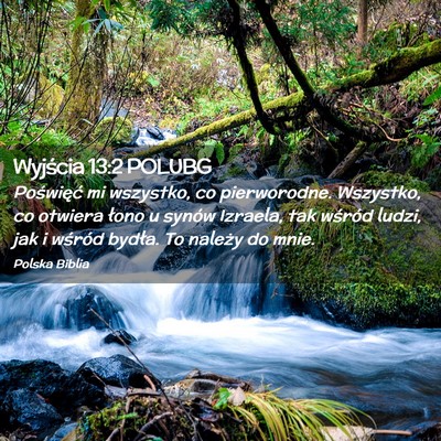Picture 02 - Wyjścia 13:2 POLUBG - Poświęć mi wszystko, co pierworodne. Wszystko, - Bible Verse Picture