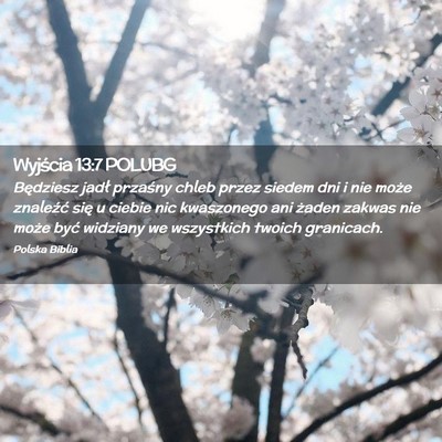 Picture 02 - Wyjścia 13:7 POLUBG - Będziesz jadł przaśny chleb przez siedem dni i - Bible Verse Picture