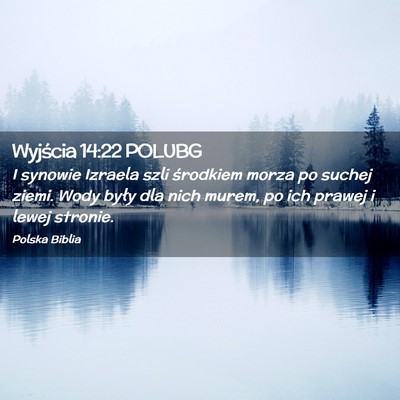 Picture 02 - Wyjścia 14:22 POLUBG - I synowie Izraela szli środkiem morza po suchej - Bible Verse Picture