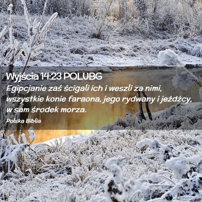 Picture 02 - Wyjścia 14:23 POLUBG - Egipcjanie zaś ścigali ich i weszli za nimi, - Bible Verse Picture