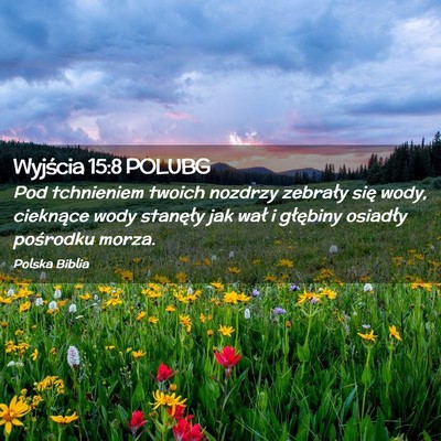 Picture 02 - Wyjścia 15:8 POLUBG - Pod tchnieniem twoich nozdrzy zebrały się wody, - Bible Verse Picture