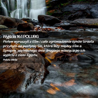 Picture 02 - Wyjścia 16:1 POLUBG - Potem wyruszyli z Elim i całe zgromadzenie - Bible Verse Picture