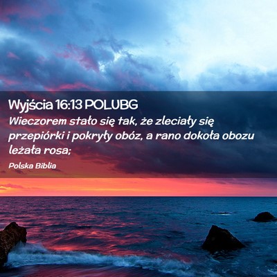 Picture 02 - Wyjścia 16:13 POLUBG - Wieczorem stało się tak, że zleciały się - Bible Verse Picture