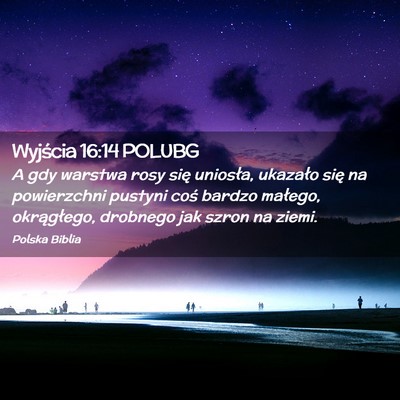 Picture 02 - Wyjścia 16:14 POLUBG - A gdy warstwa rosy się uniosła, ukazało się - Bible Verse Picture