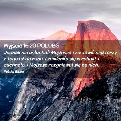 Picture 02 - Wyjścia 16:20 POLUBG - Jednak nie usłuchali Mojżesza i zostawili - Bible Verse Picture