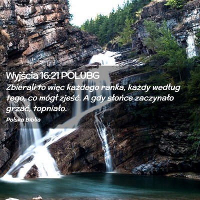 Picture 02 - Wyjścia 16:21 POLUBG - Zbierali to więc każdego ranka, każdy według - Bible Verse Picture