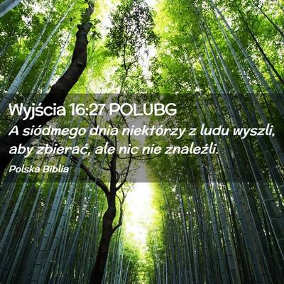Picture 02 - Wyjścia 16:27 POLUBG - A siódmego dnia niektórzy z ludu wyszli, aby - Bible Verse Picture