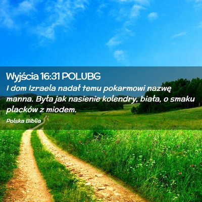 Picture 02 - Wyjścia 16:31 POLUBG - I dom Izraela nadał temu pokarmowi nazwę manna. - Bible Verse Picture