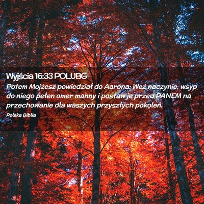 Picture 02 - Wyjścia 16:33 POLUBG - Potem Mojżesz powiedział do Aarona: Weź - Bible Verse Picture
