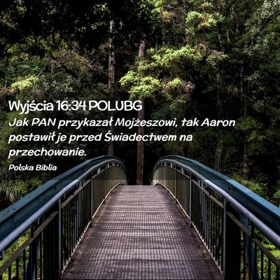 Picture 02 - Wyjścia 16:34 POLUBG - Jak PAN przykazał Mojżeszowi, tak Aaron - Bible Verse Picture