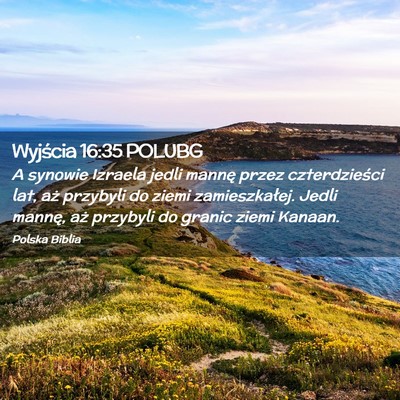 Picture 02 - Wyjścia 16:35 POLUBG - A synowie Izraela jedli mannę przez - Bible Verse Picture