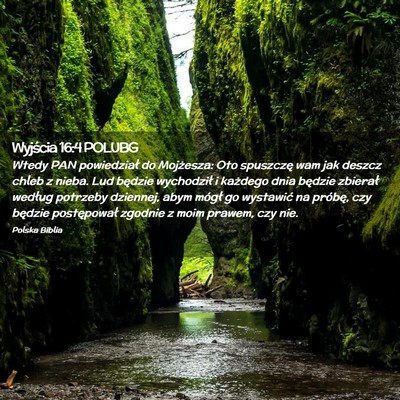 Picture 02 - Wyjścia 16:4 POLUBG - Wtedy PAN powiedział do Mojżesza: Oto spuszczę - Bible Verse Picture