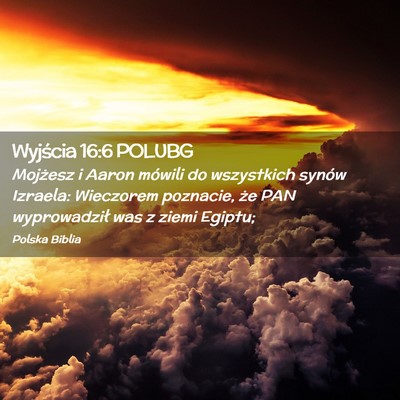 Picture 02 - Wyjścia 16:6 POLUBG - Mojżesz i Aaron mówili do wszystkich synów - Bible Verse Picture