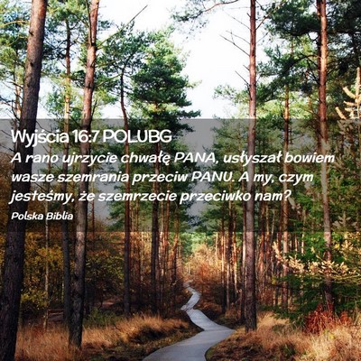 Picture 02 - Wyjścia 16:7 POLUBG - A rano ujrzycie chwałę PANA, usłyszał bowiem - Bible Verse Picture