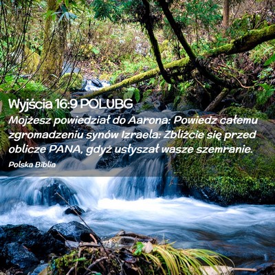 Picture 02 - Wyjścia 16:9 POLUBG - Mojżesz powiedział do Aarona: Powiedz całemu - Bible Verse Picture