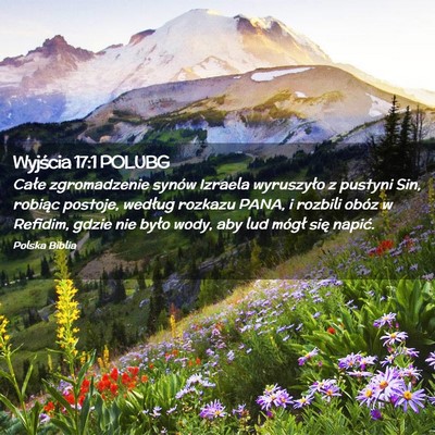 Picture 02 - Wyjścia 17:1 POLUBG - Całe zgromadzenie synów Izraela wyruszyło z - Bible Verse Picture