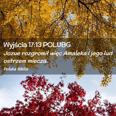 Picture 02 - Wyjścia 17:13 POLUBG - Jozue rozgromił więc Amaleka i jego lud ostrzem - Bible Verse Picture