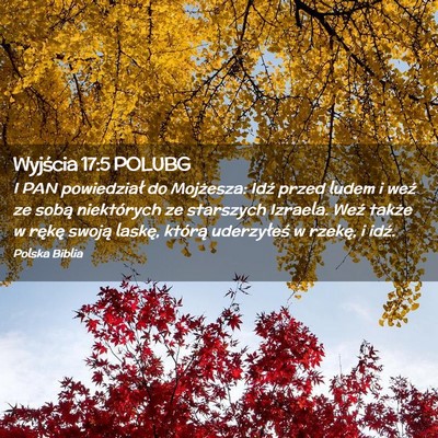 Picture 02 - Wyjścia 17:5 POLUBG - I PAN powiedział do Mojżesza: Idź przed ludem - Bible Verse Picture