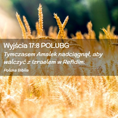 Picture 02 - Wyjścia 17:8 POLUBG - Tymczasem Amalek nadciągnął, aby walczyć z - Bible Verse Picture