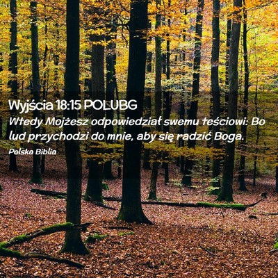 Picture 02 - Wyjścia 18:15 POLUBG - Wtedy Mojżesz odpowiedział swemu teściowi: Bo - Bible Verse Picture