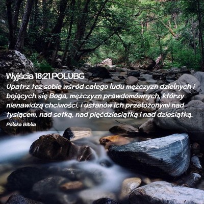 Picture 02 - Wyjścia 18:21 POLUBG - Upatrz też sobie wśród całego ludu mężczyzn - Bible Verse Picture