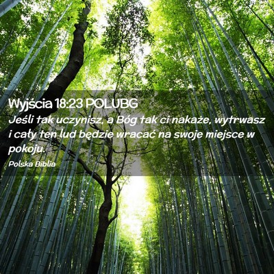 Picture 02 - Wyjścia 18:23 POLUBG - Jeśli tak uczynisz, a Bóg tak ci nakaże, - Bible Verse Picture