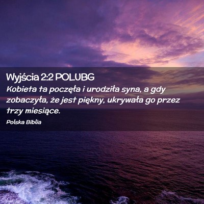Picture 02 - Wyjścia 2:2 POLUBG - Kobieta ta poczęła i urodziła syna, a gdy - Bible Verse Picture