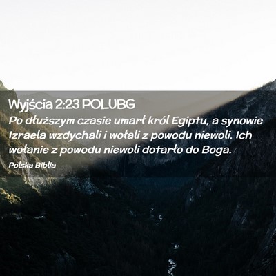 Picture 02 - Wyjścia 2:23 POLUBG - Po dłuższym czasie umarł król Egiptu, a - Bible Verse Picture