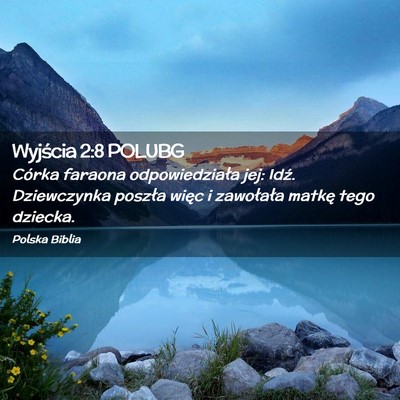 Picture 02 - Wyjścia 2:8 POLUBG - Córka faraona odpowiedziała jej: Idź. - Bible Verse Picture