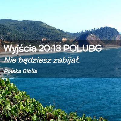 Picture 02 - Wyjścia 20:13 POLUBG - Nie będziesz - Bible Verse Picture