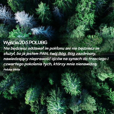 Picture 02 - Wyjścia 20:5 POLUBG - Nie będziesz oddawał im pokłonu ani nie - Bible Verse Picture