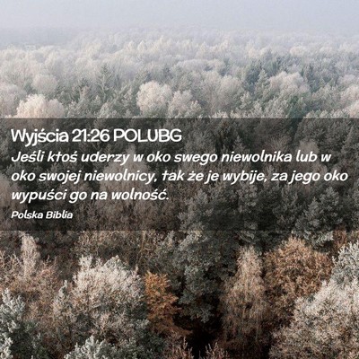 Picture 02 - Wyjścia 21:26 POLUBG - Jeśli ktoś uderzy w oko swego niewolnika lub w - Bible Verse Picture
