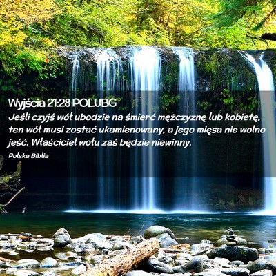 Picture 02 - Wyjścia 21:28 POLUBG - Jeśli czyjś wół ubodzie na śmierć - Bible Verse Picture