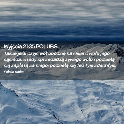 Picture 02 - Wyjścia 21:35 POLUBG - Także jeśli czyjś wół ubodzie na śmierć - Bible Verse Picture