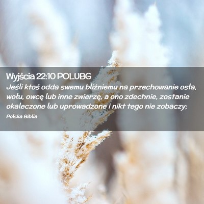 Picture 02 - Wyjścia 22:10 POLUBG - Jeśli ktoś odda swemu bliźniemu na - Bible Verse Picture
