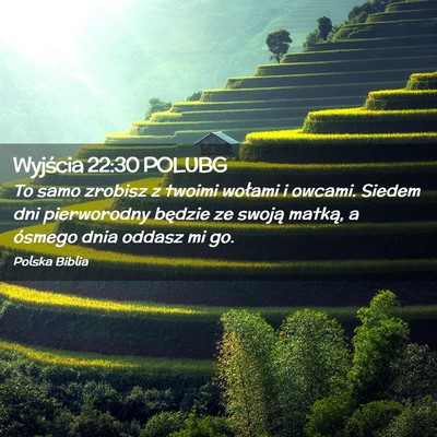 Picture 02 - Wyjścia 22:30 POLUBG - To samo zrobisz z twoimi wołami i owcami. Siedem - Bible Verse Picture