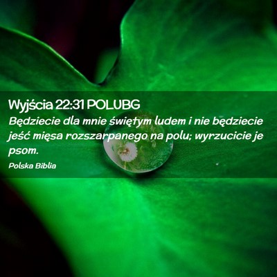 Picture 02 - Wyjścia 22:31 POLUBG - Będziecie dla mnie świętym ludem i nie - Bible Verse Picture