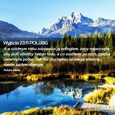 Picture 02 - Wyjścia 23:11 POLUBG - A w siódmym roku zostawisz ją odłogiem, żeby - Bible Verse Picture