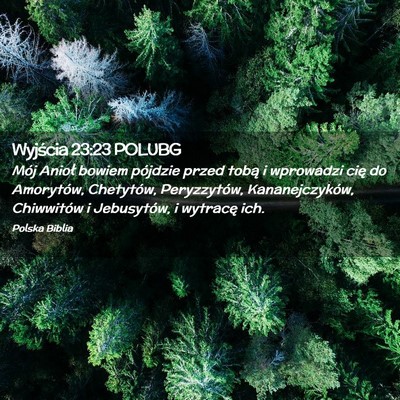 Picture 02 - Wyjścia 23:23 POLUBG - Mój Anioł bowiem pójdzie przed tobą i - Bible Verse Picture