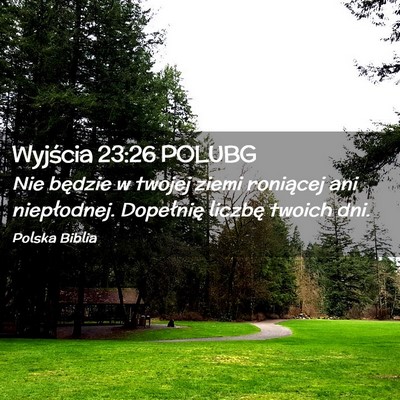 Picture 02 - Wyjścia 23:26 POLUBG - Nie będzie w twojej ziemi roniącej ani - Bible Verse Picture